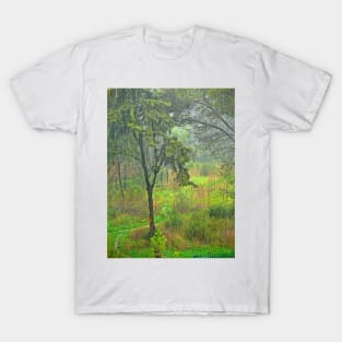 new year's day rain T-Shirt